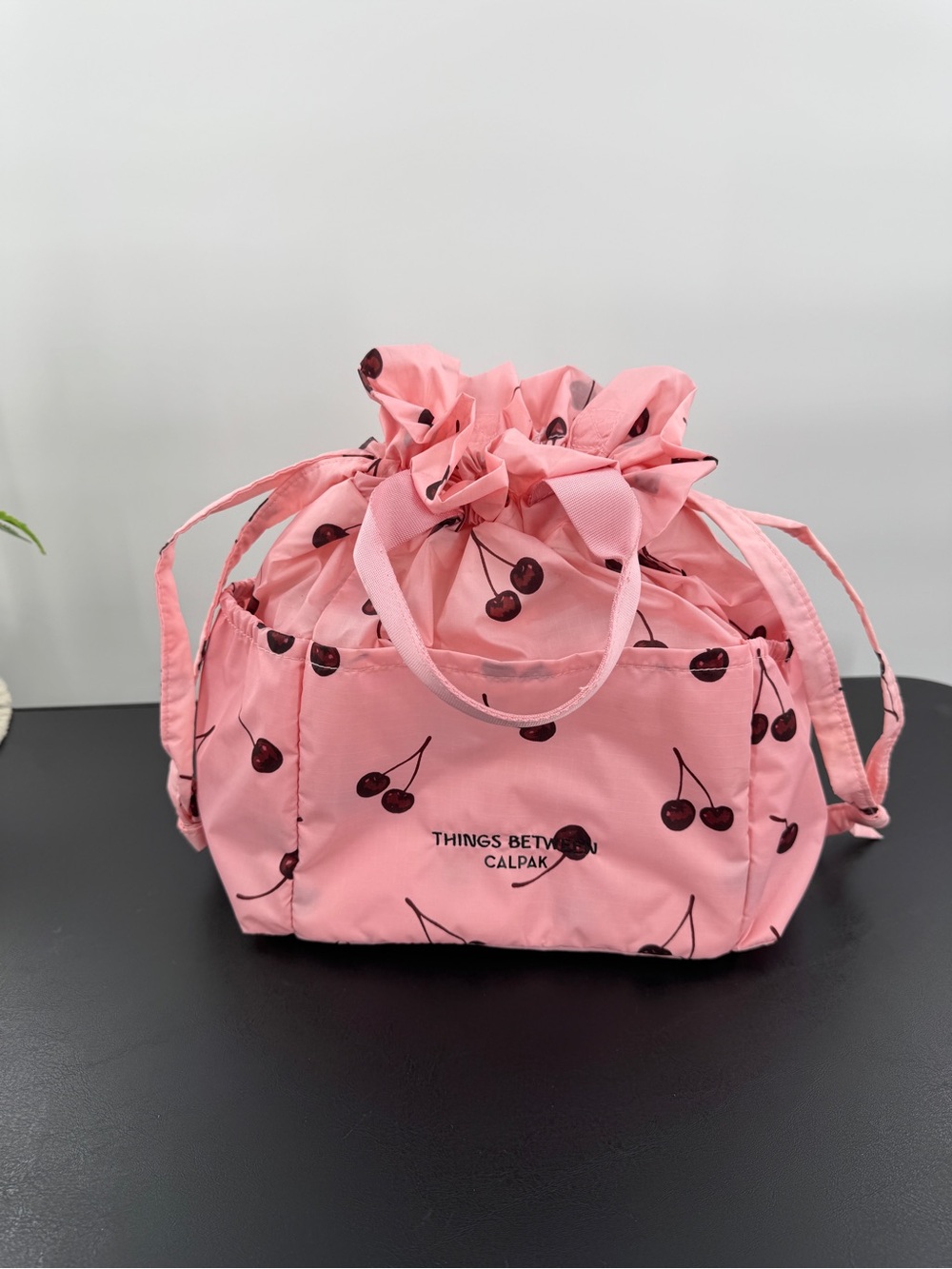 Calpak Insulated Lunch Bag Collab w/ Things Between Blossom Cherry Print